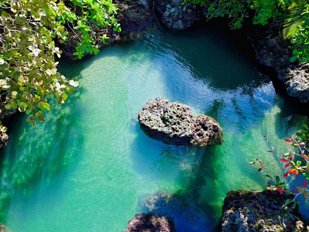 Natural pool Cahuita