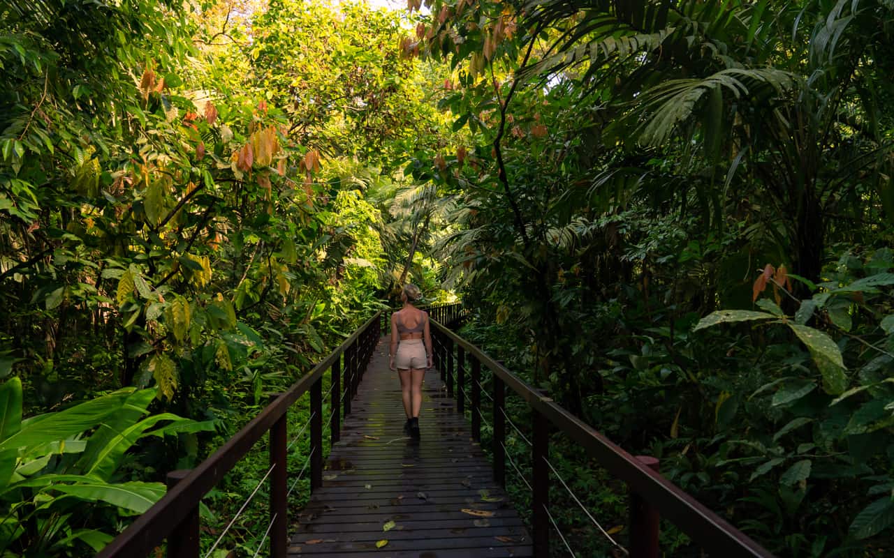 Hiking trail inside Cahuita National Park