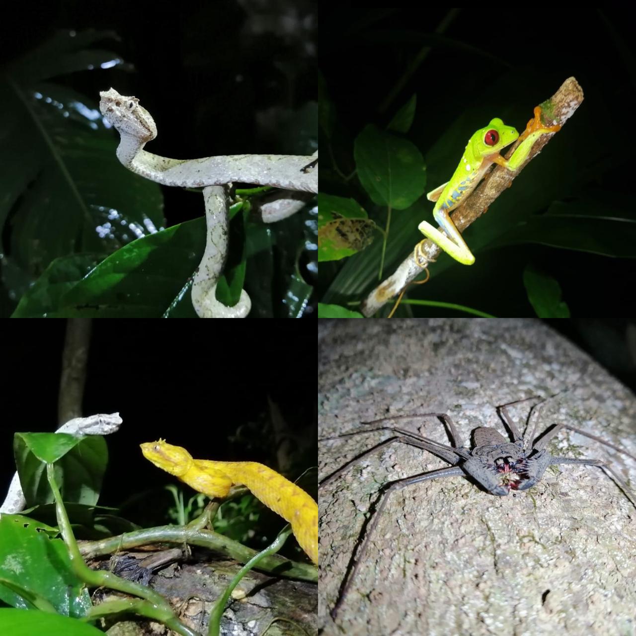 Wild life refuge manzanillo national park 