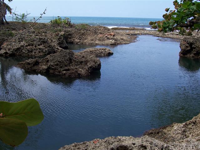 Discover the Secrete Natural Pool