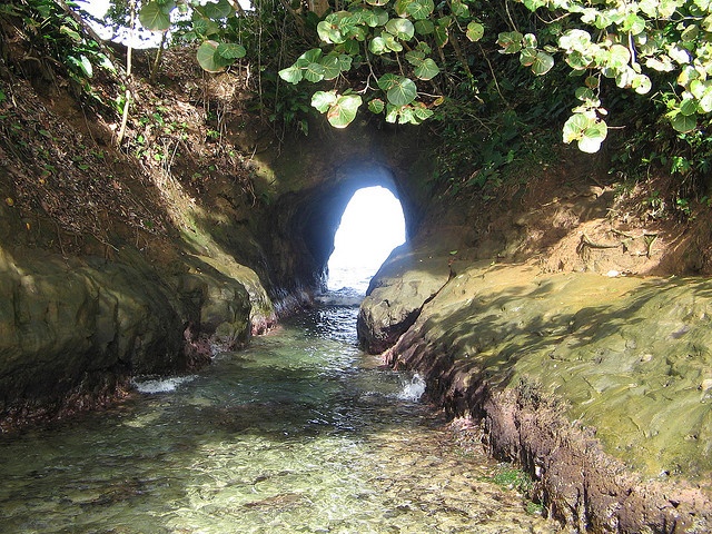 Explore the Mysterious Ocean Tunnel