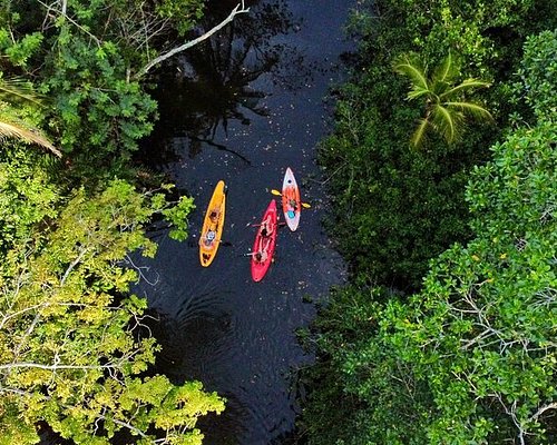 Kayak the Serene River with Turtles