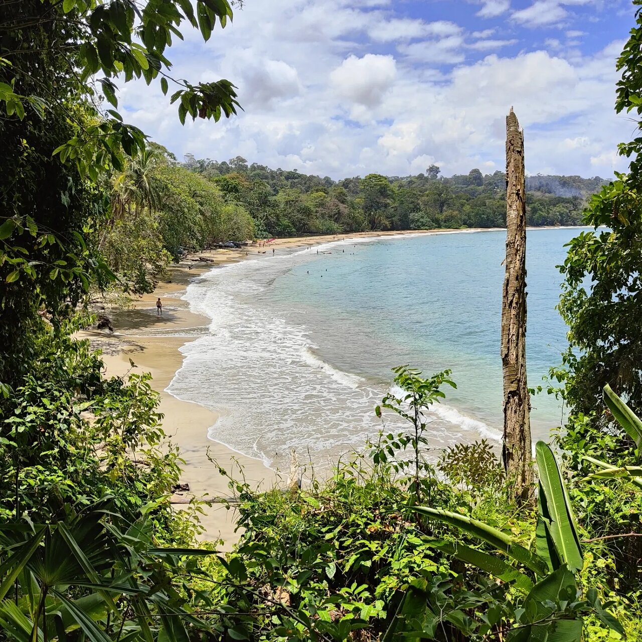 Ascend to the Breathtaking Viewpoint