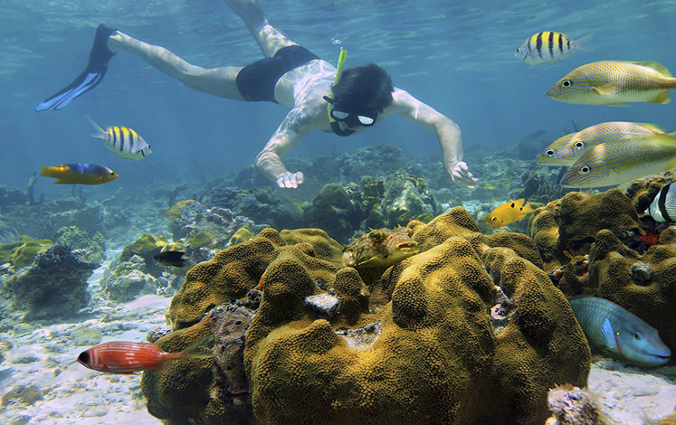 Dive into Underwater Wonders: Snorkeling