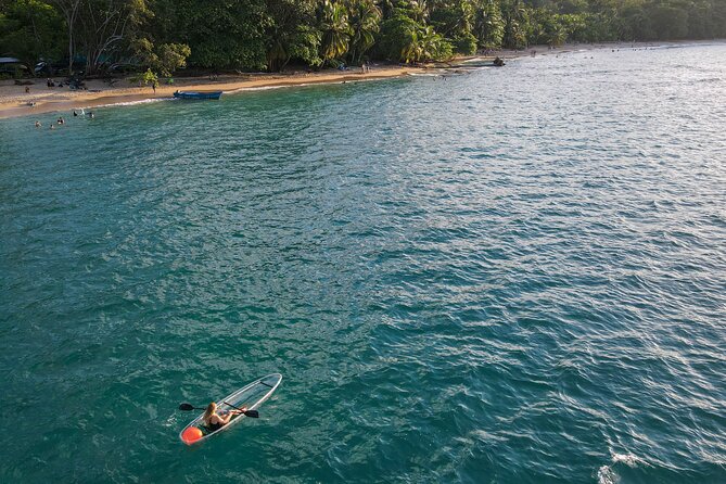 Paddle the Crystal-Clear Ocean: Kayak