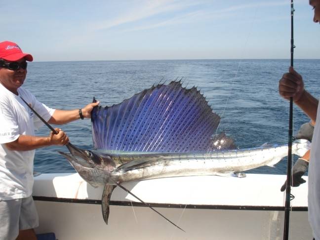 Local Fishing Adventures