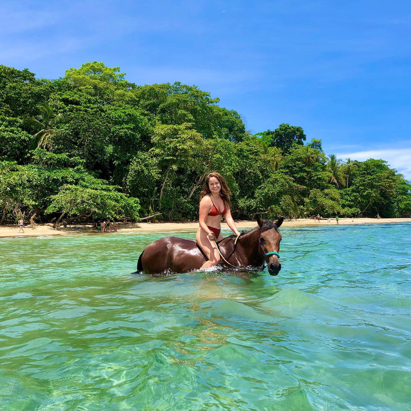Explore the Coast on Horseback