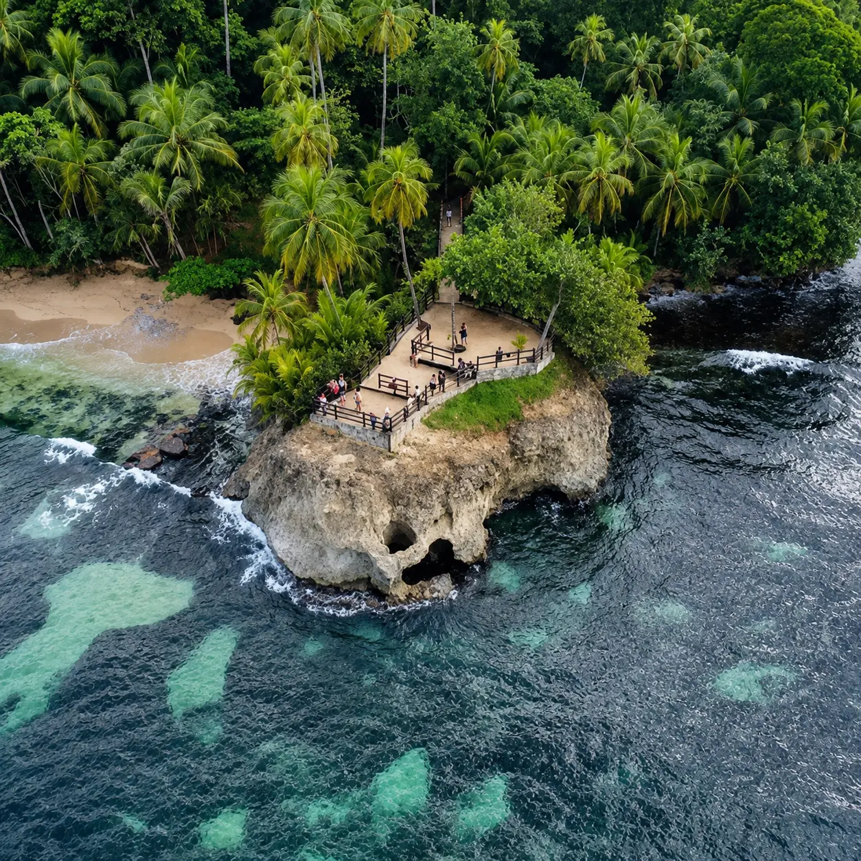 Explore the Gandoca-Manzanillo Wildlife Refuge