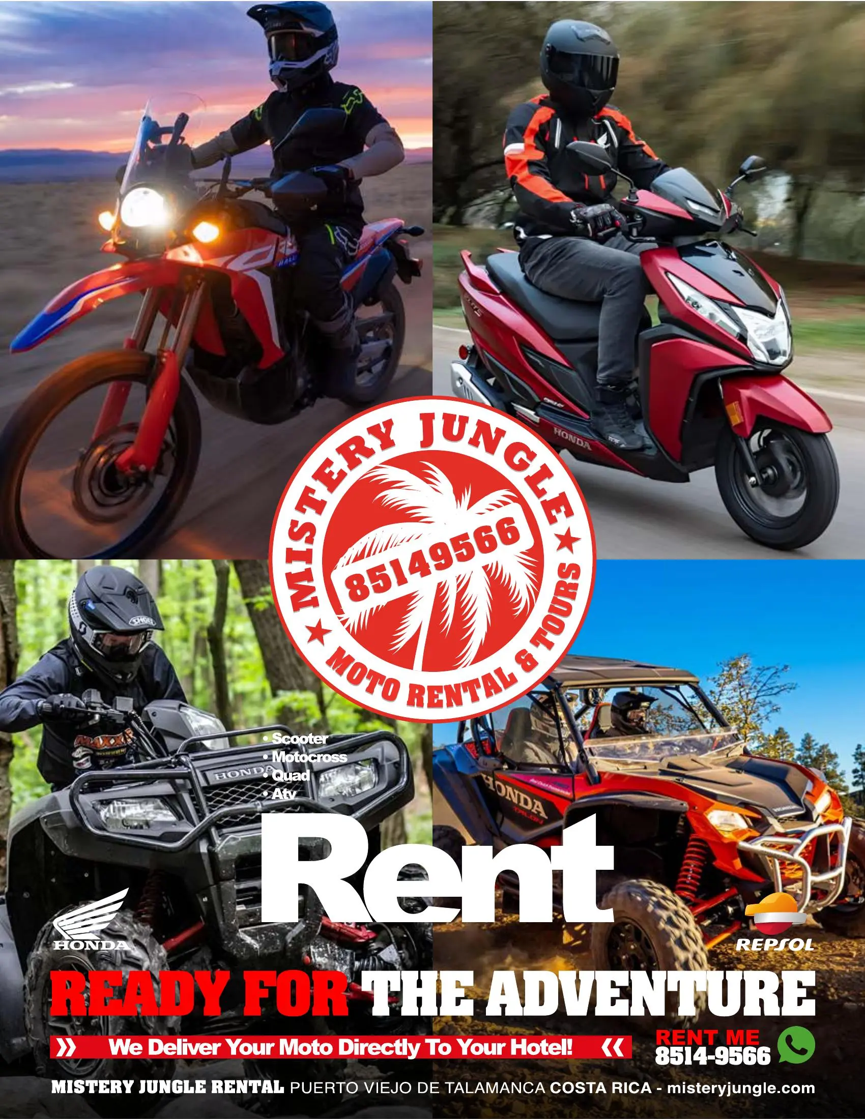 Mystery Jungle Rentals