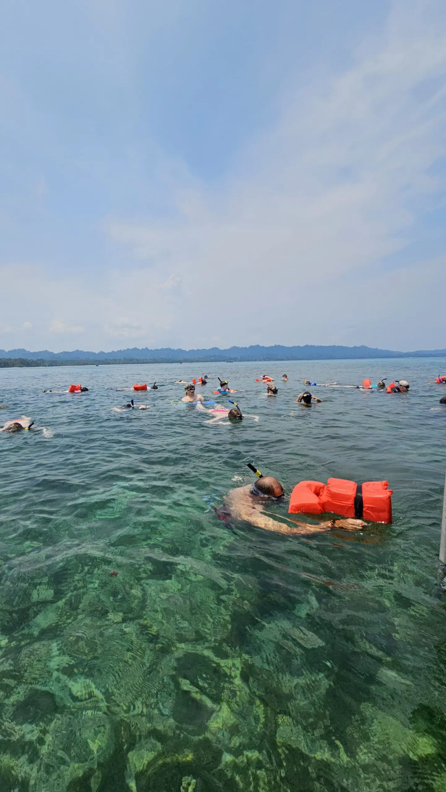 Activity photo