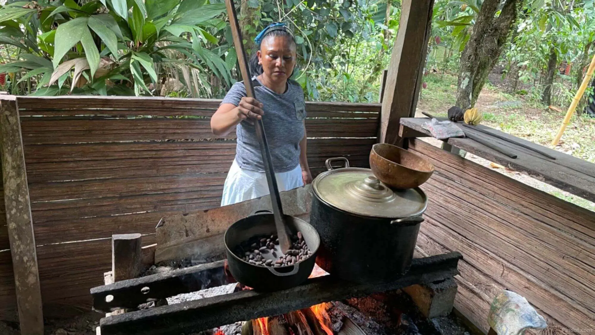 Cacao Tours Experience